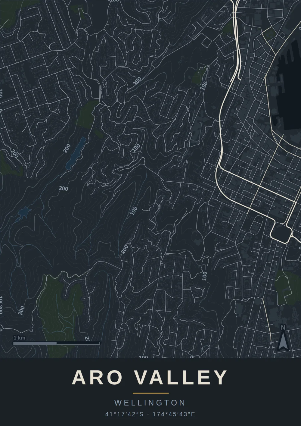 Topographic map print of Aro Valley, Wellington