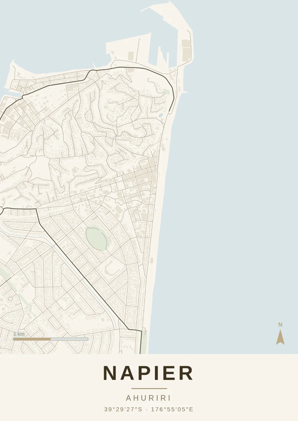 Topographic map print of NAPIER, AHURIRI